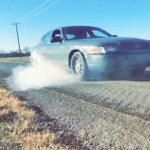 Meet your Posher, Damian